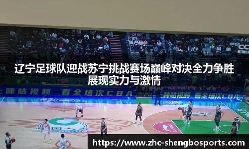 辽宁足球队迎战苏宁挑战赛场巅峰对决全力争胜展现实力与激情